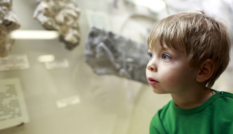 Small child in green gazing at museum exhibits